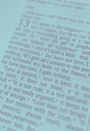 English Bible in Light Blue
