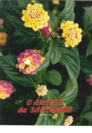 O ARAUTO DA SANTIDADE - DEZEMBRO 1986