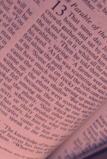 English Bible in Red