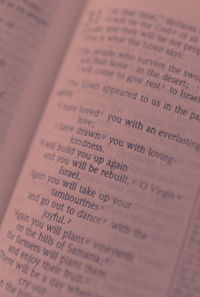 English Bible Light Red