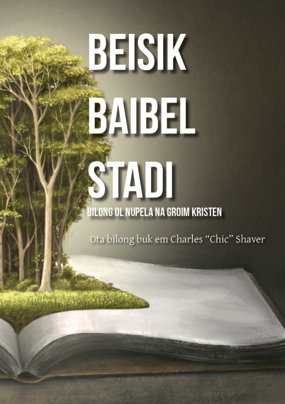 tok pisin basic bible studies cover