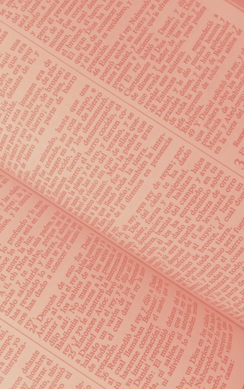 Spanish Bible peach