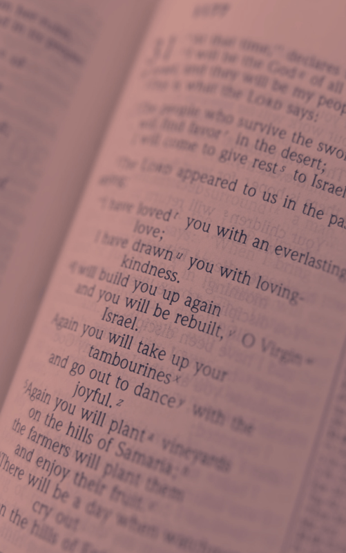 English Bible in Light Red