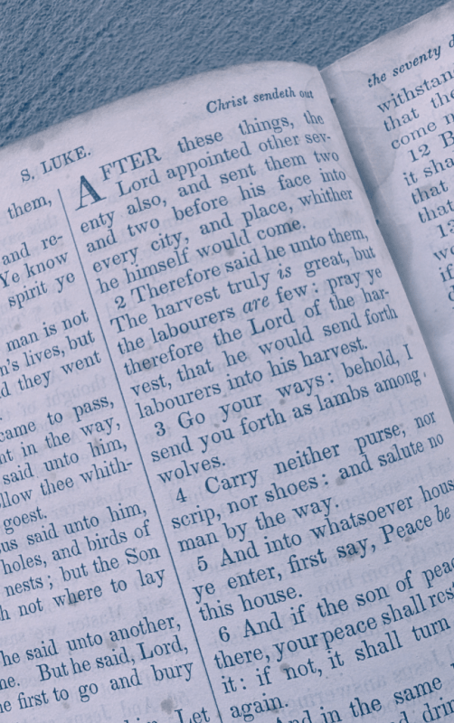 English Bible Luke (Purple)