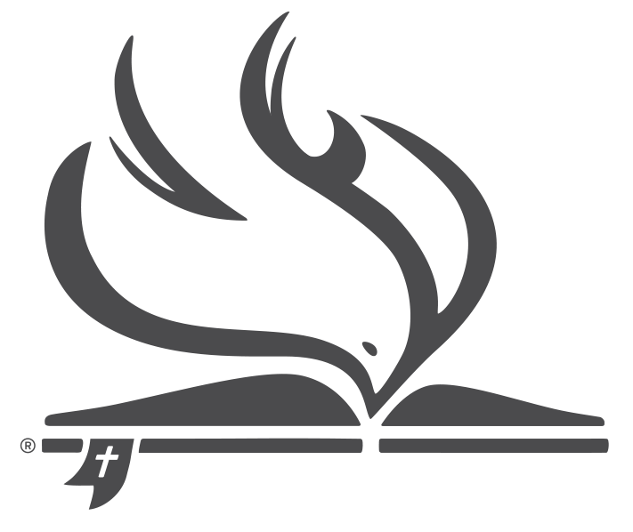 logo gray